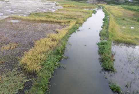মরে যাচ্ছে পঞ্চগড়ের নদী